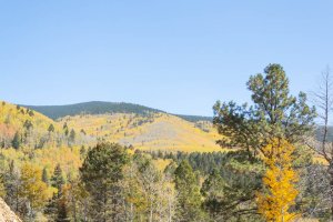 20201020FallColors2020165.jpg